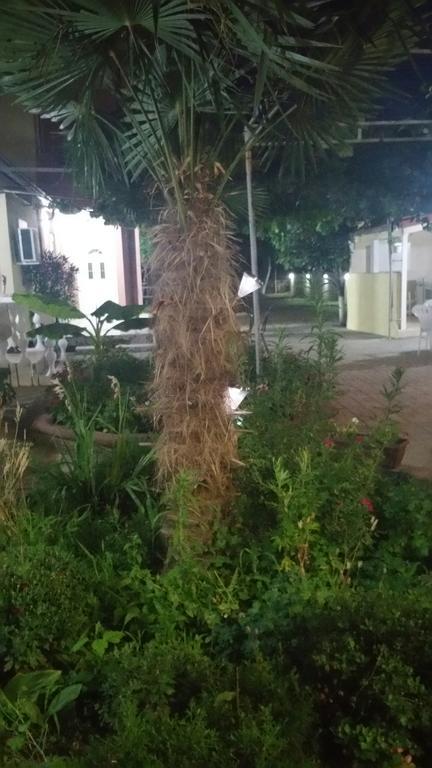 Apartments Ana Dojran Exterior photo