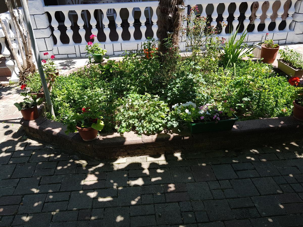 Apartments Ana Dojran Exterior photo