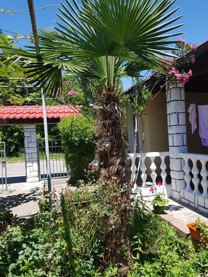 Apartments Ana Dojran Exterior photo